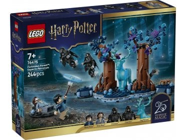 LEGO 76475 Forbidden Forest™: Expecto Patronum 