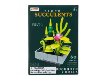 Blok Tech Blocks Succulents Buckhorn Cholla