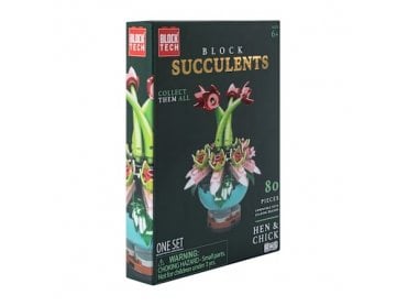 Blok Tech Blocks Succulents Hen and Chick
