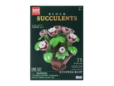 Blok Tech Blocks Succulents Stonecrop