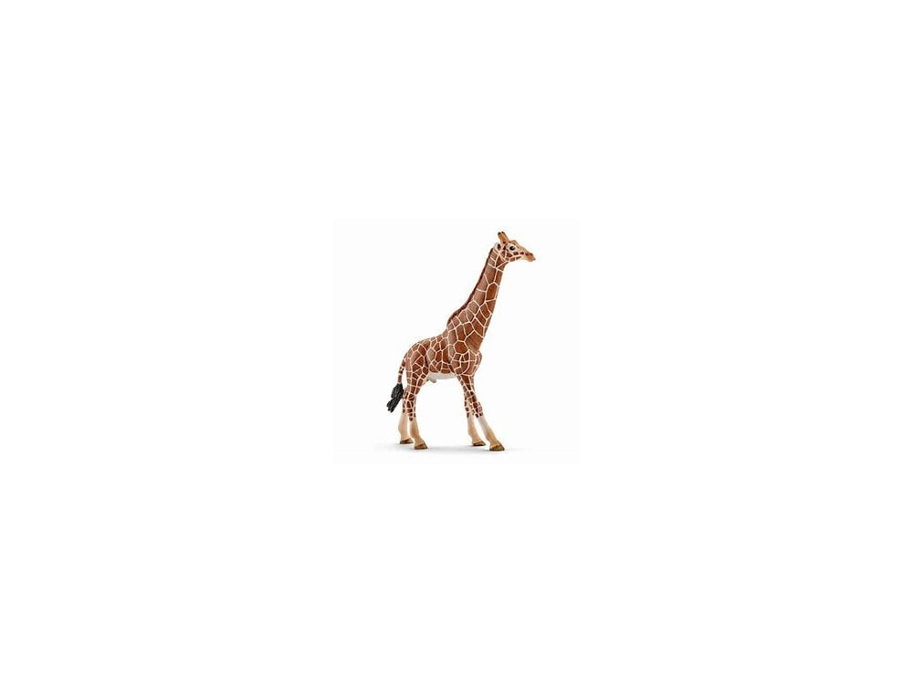 Figurine Schleich Girafe Mâle - 12,7x4,4x17cm | Vie Sauvage Dès 3 Ans | Détails Réalistes