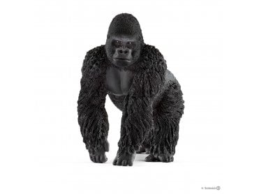GORILLA, MALE